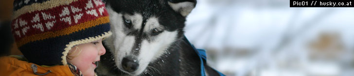 http://www.husky.co.at/uploads/images/kopf/003.jpg